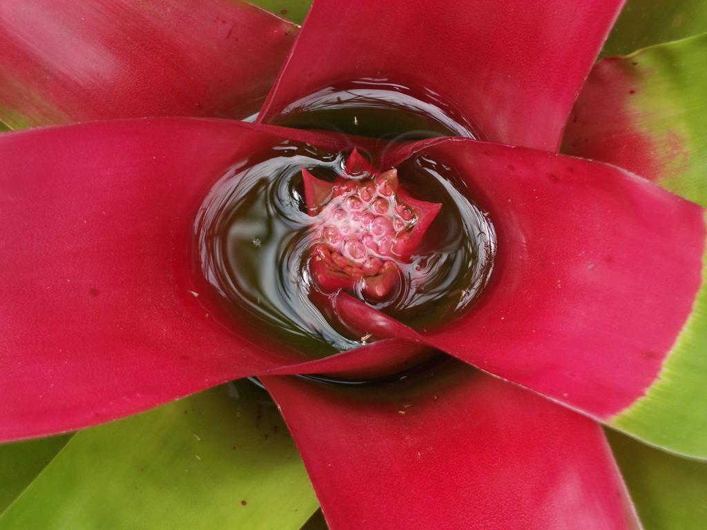 Pousada Oasis Ilha Grande 外观 照片
